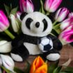 صورة لعبة دبدوب أطفال قطيفة شكل الباندا – أسود×أبيض