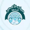 Picture of حفاضات مولفيكس بريميوم مقاس 1 حديثي الولادة - 58 حفاضة